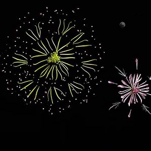 17K views · 661 reactions | Hope your fourth is filled with dazzling displays! | ProFlowers | Facebook