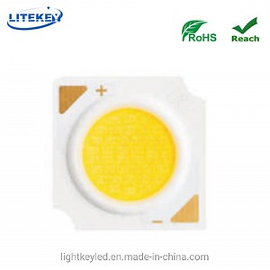 [Hot Item] RoHS Compliant 19*19mm 24W COB LED Full Spectrum with 36-39V 650mA 97CRI