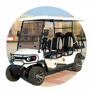 [Hot Item] Lead Acid Battery Independence Suspension 6 Seats Patrol Electric Golf Cart