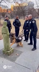 The Mysterious Thing They Found Under the Central Park Statue Wasn’t Something Strange. It Belonged to Someone Whose Name Evoked Feelings of Horror and Fear in Me. CHAPTER 1: THE DEAD MAN WALKING Barnaby didn’t bark. Professionals don’t bark. He simply stopped, his four paws locking into the manicured grass of Centennial Park as if gravity had suddenly doubled its pull on his body. The big Bloodhound lowered his heavy, wrinkled head, his nose working overtime, inhaling the molecules of a history