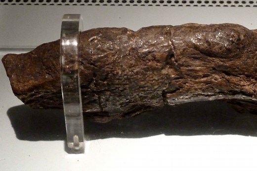 Biggest poo on record is from parasite-riddled Viking who invaded England