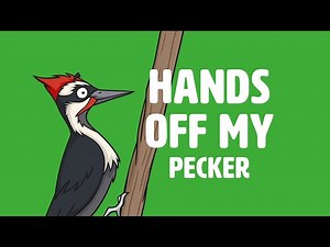 How To Play Hands Off My Pecker Card Game