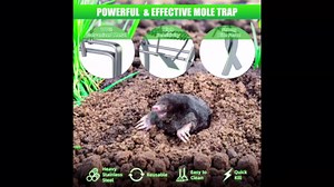 Mole Trap Gopher Trap Metal