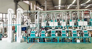 [Hot Item] Good Quality Wheat Milling Machine Wheat Flour Mill Plant Wheat Flour Milling Machines Price