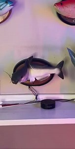 Make your own MEME with MEME Maker App -> https://onelink.to/litml | LIT MEME GUY