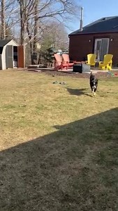 Save Me Rescue on Reels