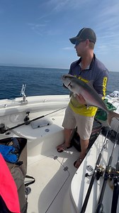🏝️Aaron’s Amber Jack Release🐠🎣 #deepseafishing #gulfofmexico #fishing #makoboats #saltwater #cootslures #florida #amberjack #fishon #catchandrelease #fishin #teamht #htenterprises #saltwaterfishing #shadyrays Shady Rays Watch Williams Media | Coots Lures