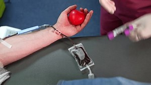 Nurse takes a plastic bag filled with blood and fills the test tubes. Blood donation concept. Close up.