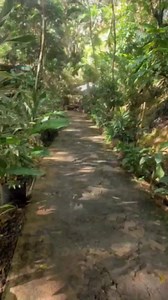 Grenada has amazing scenery, Annandale Waterfalls is one of the most popular and easily accessible waterfalls on island. Definitely an ideal a place to go if you wanna relax and cool down during a hot day in Grenada #century21 #grenada #realestate #caribbeanrealestate #grenadarealestate #grenadaproperty #century21grenada #c21 #c21grenada #grenadarentals #grenada | Century 21 Grenada | Facebook