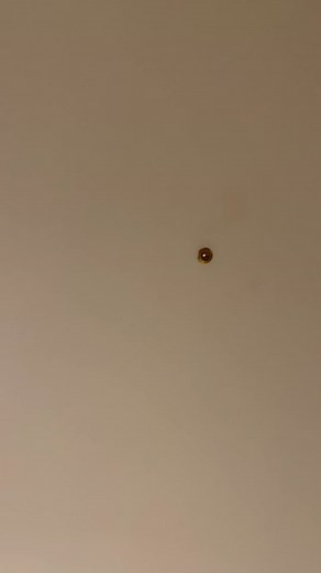 What it’s like traveling as a woman. Always check your peepholes. Mine was installed backwards so anyone could see into my hotel room. It’s very common for peepholes to be tampered. #hotel #vegas #lasvegas #travel #traveltiktok #travelsafety #travelsafe #fyp #traveling