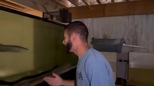 4.4K views · 92 reactions | Blake's Exotic Animal Ranch on Reels | Facebook