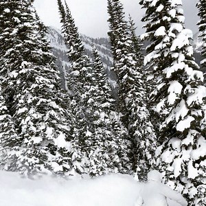 34 reactions | @coreysmithsimulacrum in Deep Paradise. . . . #springbreaksnowboarding #powderglider #ultralightpowderdisplacementsnowcraft #surflite #fus3d #capitamfg #snowboarding #powder #britishcolumbiacanada #snowcraft #capitamfg #deepparadise | Spring Break Snowboards | Facebook