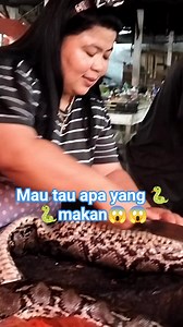 554K views · 2.5K reactions | #reel Ada ada saja yang  makan﫣bikin kaget Mauu tauuu apa itu??? | Deske Pantow | Facebook