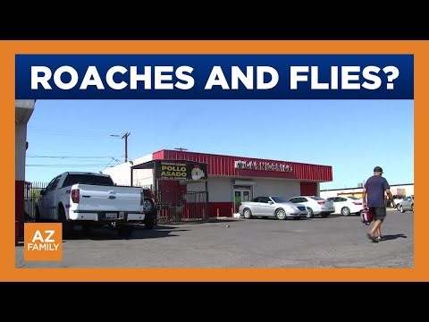 Roach & dead fly found at Phoenix area eatery are among this week's Dirty Dining violators