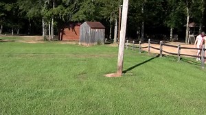BDSM Bad Boy Camp