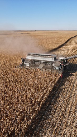 40K views · 426 reactions | Here is some details about the NEXAT....