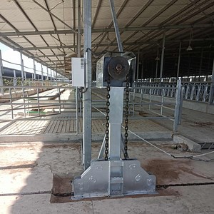 [Hot Item] Manure Removal System, Animal Manure Cleaning Scraper for Dairy Farms