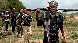 17 Boko Haram members surrender, give reasons
