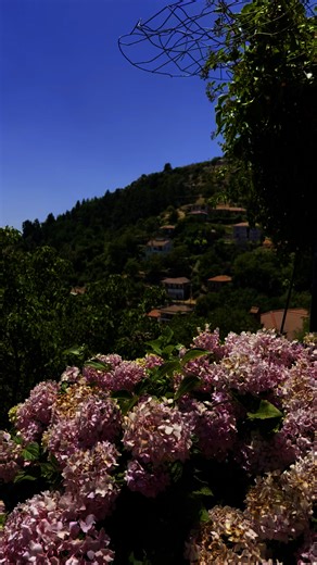 4.9K views · 14 reactions | Searching for coolness in the mountain villages of the Peloponnese on hot summer days #mountains #mountainvillage #peloponnese #greece #summer | Peloponnese Guide | Facebook