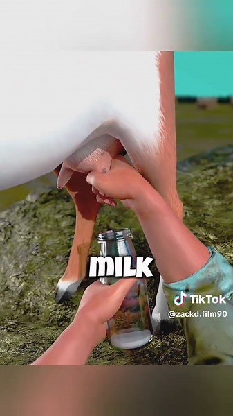 Ancient Academy on TikTok