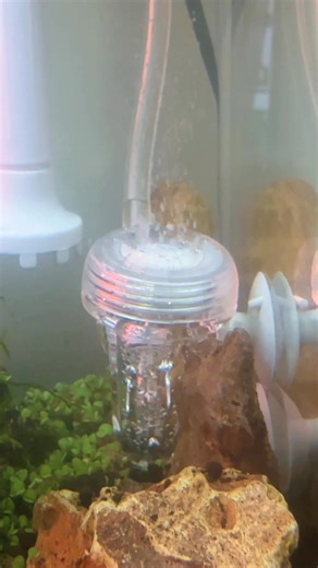 14 reactions | Bubble counter and diffuser. 2 in 1. Adjusting it to diffuse a bubble per second. | Mirabelle Ng | Facebook