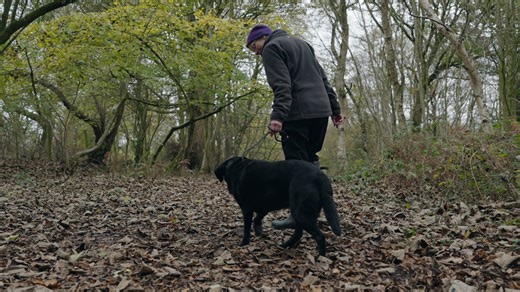 2.8K views · 175 reactions | Recently, I had Lola visit me with her...