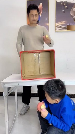 Funny Interaction with a Cardboard Box