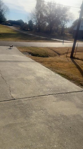 Please get your horse ass out of my yard… How you go come in my yard and bark at me tf😂🤷🏾‍♀️🤦🏾‍♀️ | Jessica Hall-Griggs