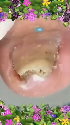 32K views · 188 reactions | beautiful | Amazing Meme | Facebook