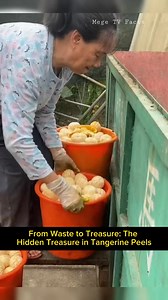3.6M views · 29K reactions | The hidden treasure in tangerine peels  #highlights #highlightseveryone #trivia #virals #everyone #satisfying #viralpost #fypシ #facts #fypシ゚viral #craft #foryoupageシ #art #france #Kaalaman #pinas #tagalog #foodvlog #fruit #fruitlover #foodvlogger #fruits #fruitsalad #tangerine #tea #teatime #chenpi | Movie For You | Facebook