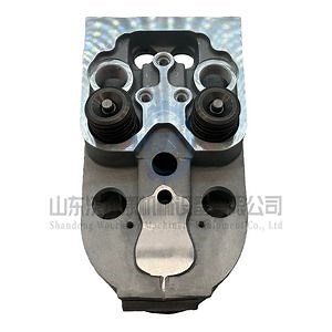 [Hot Item] Cylinder Head Assemblies 04234955 04234956 Are Used in Downhole Loader and Deutz Bf6l914/D914 Engine Parts.