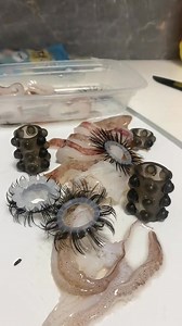 1.5K reactions · 18 shares | Simple sa tingin, pero solid sa feeling. ⚡ Soft silicone ring na nagbibigay comfort sa bawat galaw mo!  ✨ Benefits: ✔ Soft & skin-friendly silicone ✔ Flexible — hindi masakit isuot ✔ Sweatproof & waterproof ✔ Magaan, perfect for all-day wear ✔ Minimalist style that fits any look | Everyday Essentials | Facebook