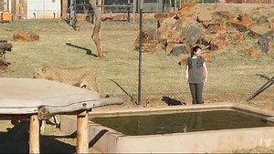 Rustenburg Herald on Reels