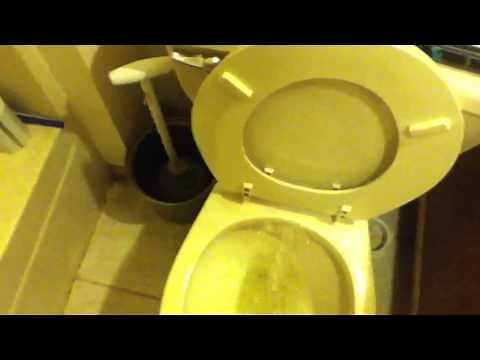 How To Pee Properly In The Toilet