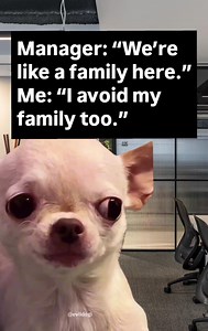 2.2K views · 40 reactions | 藍 Follow for daily evil & hilarious memes ⭐ Official Evil Dog Meme Page  Merch Link in my bio ↓ evildogofficial.com ⚠️ Dark humor — don’t take it seriously Just memes, all in good fun | EvilDog Shamsy | Facebook