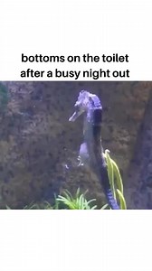 Me on Saturday night 🥴 #gay | Jeffrey Carter