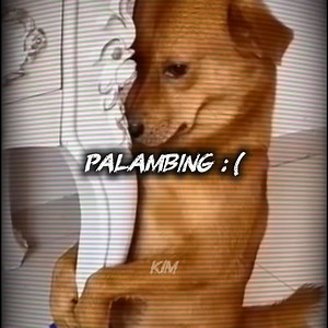 2.5K views · 43 reactions | Palambing. | Ivān Kim | Facebook