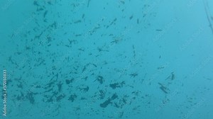 Very dirty pool - dirt and mulch at the bottom of swimming pool
