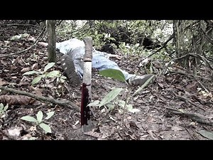 Curupira Pânico na Floresta Filme Completo HD