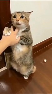 Modern Shop Sale on Reels