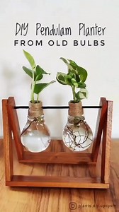 5.3K views · 270 reactions | DIY propagation station or small planter  @plants.diy.upcycle #propagation #planter #diy #echeveria #ediblegarden #garden #gardenersofinstagram #gardening #girlswhogarden #growyourownfood #homesteadlife #houseplants #indoorplants #kitchengarden #naturelovers #plant #plantgang #plantlife #plantlover #plantmom #plants #plantslover #plantsmakepeoplehappy #plantsofinstagram #plantsplantsplants #plantstyling #propagation #plantjournal | ᑭlantamaven | Facebook