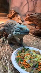 14K views · 91 reactions | It's the best day of the yearrr!!! Happy...