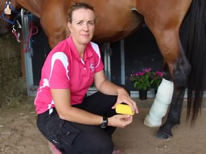 13 reactions | Dr Louise explaining How to bandage a hock. #eevs#eevsvet#drlouisecosgrove#equinevet#horsevet | Exclusively Equine | Facebook