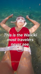 we were amazed while shopping for beach front real estate on the north shore of oahu to find such clear water right in front of the hotel we were staying at in waikiki | Beauties of the Ocean