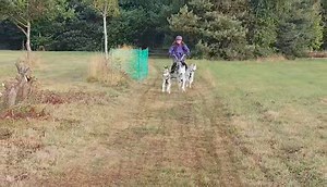 Red Funnel Isle of Wight Ferry on Reels | Facebook