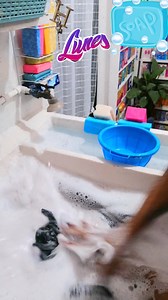 #VideoCompleto La vemos con esta deliciosa combinación de jaboncito Rosa Venus y boca en polvo 💙🫧💎 #ASMRCleaning #reelsfypシ #soapasmr #satisfyingvideos #detergenteliquido #reelsfacebook #reelsvideoシ #fypシ゚viralシ #reelsviralシfb #asmr #asmrvideo #foca #determination #LavandoAMano #lavando #follow #soap | Perlestain Yamile