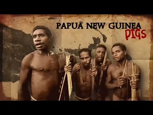 Papua New Guinea Pigs