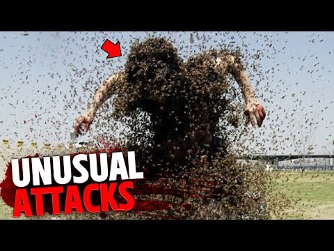 The Most BIZARRE Animal Attacks on Humans MARATHON!