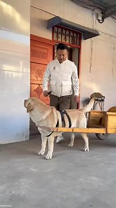 116K views · 2.1K reactions | 朗Please do not watch this video till the❤️❤️ ~ mini wood toy woodworking art end skill/wood/ hand crafts #shorts #Reels #viralpost2024#reelsviralシ #reelsvideoシ #viralreelsシ #viralreelsfb #viralvideoシ #shortsreels #viralreelsfacebook #viralreelschallenge #reelsfbシ #reelsfypシ #short #shorts | girls' teju | Facebook