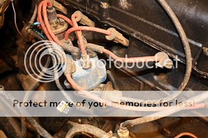 258 correct distributor position